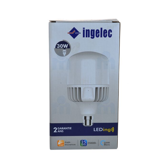 Ampoule Led haute puissance 30W B22 6500K Lumière blanche - INGELEC
