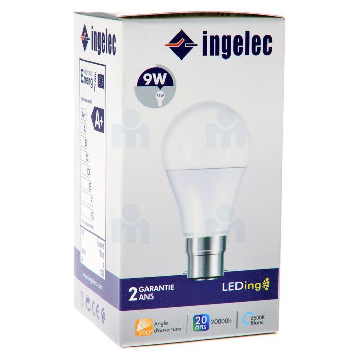Ampoule Led 9W B22 6500K lumière blanche - INGELEC