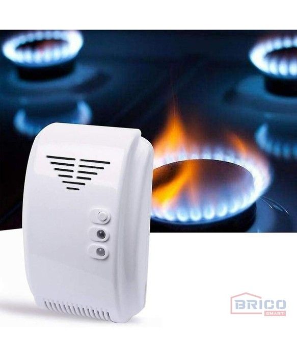 DETECTEUR AVERTISSEUR DE GAZ DG2