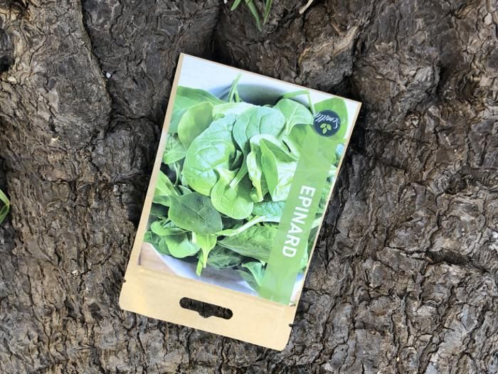SACHET DE GRAINES EPINARD