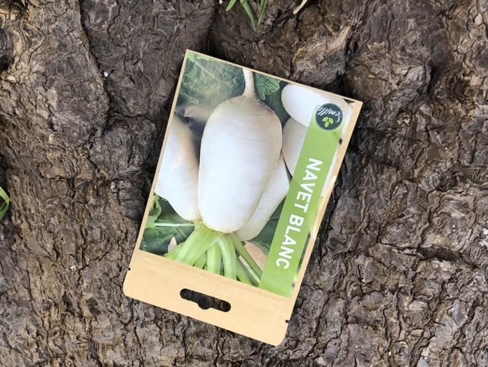 SACHET DE GRAINES NAVET BLANC