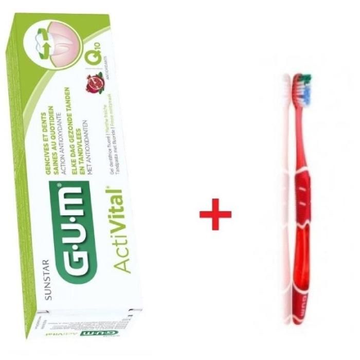 Dentifrice Activital 75ml + BAD Offert