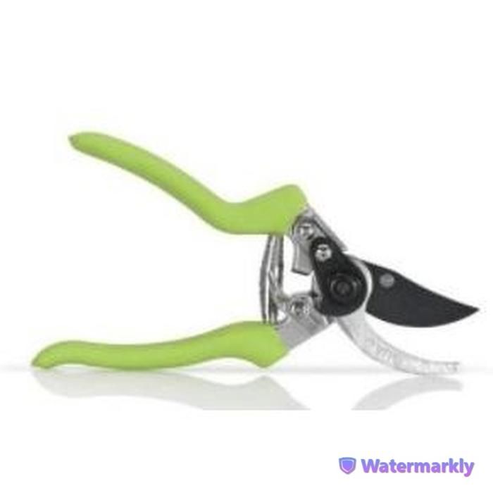 Sécateur De Taille 210Mm