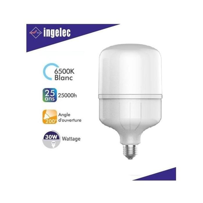 Lampe LED High Power 30W E27 - Lumière Blanche