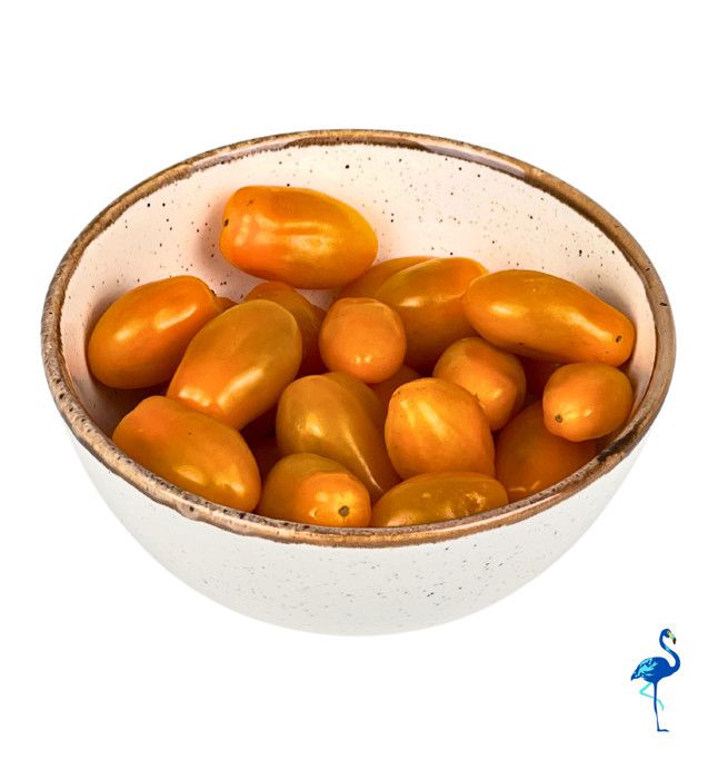 BOLS SEASONS 13CM BEIGE ( 6 PIECES )