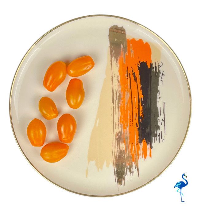 ASSIETTE PLATE DASH D4 21CM