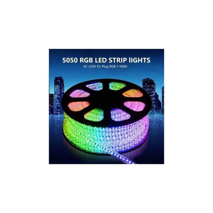 Golden Led Strip 10m RGB LED Strip Light Led Étanche with Button Controller AC220V