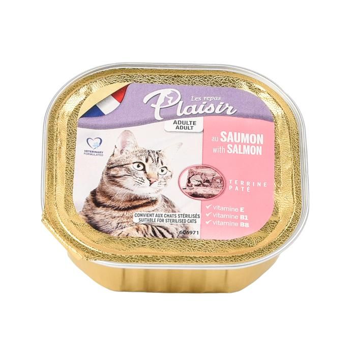 PATE AU SAUMON 100G LES REPAS PLAISIR