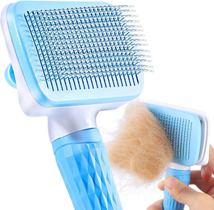 Brosse de toilettage pour chat et chien,pour la perte et le toilettage, BLEU
