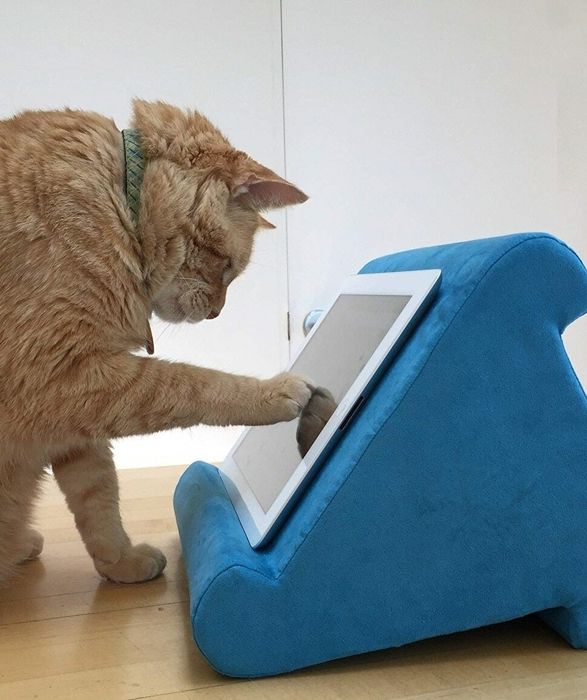 Support En éponge Pour Tablette Et Téléphone Portable,