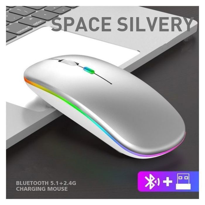 Souris sans fil - GENERIC - Modèle lumineux - Bluetooth 5.2 - 2.4G - 4 boutons