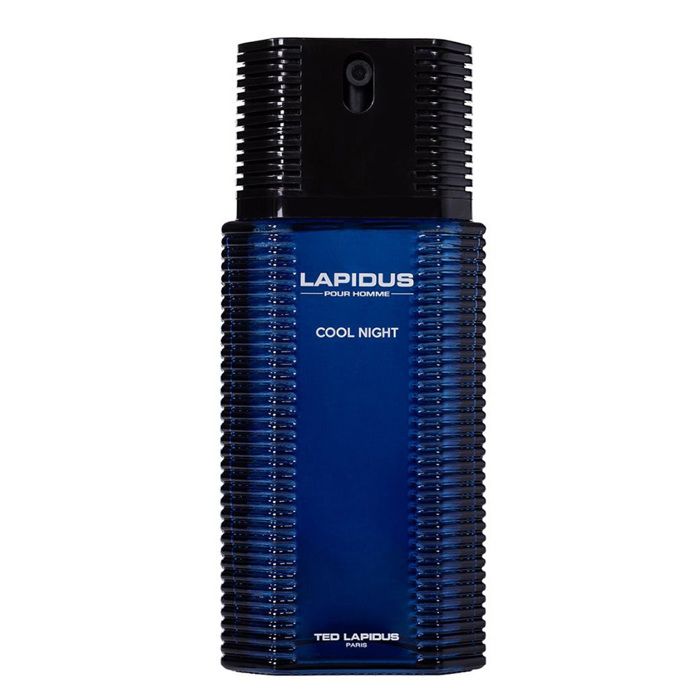 Eau de Parfum - COOL NIGHT - 100 ml - Fougère - Notes Aromatiques - Virilité Élégante