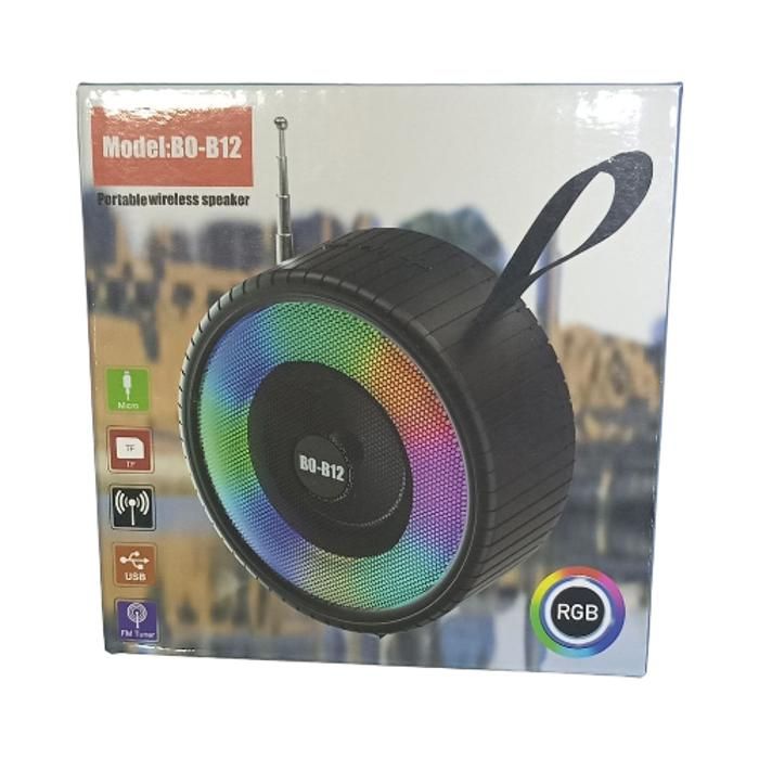 HAUT-PARLEUR PORTABLE SANS FIL, BO-B12