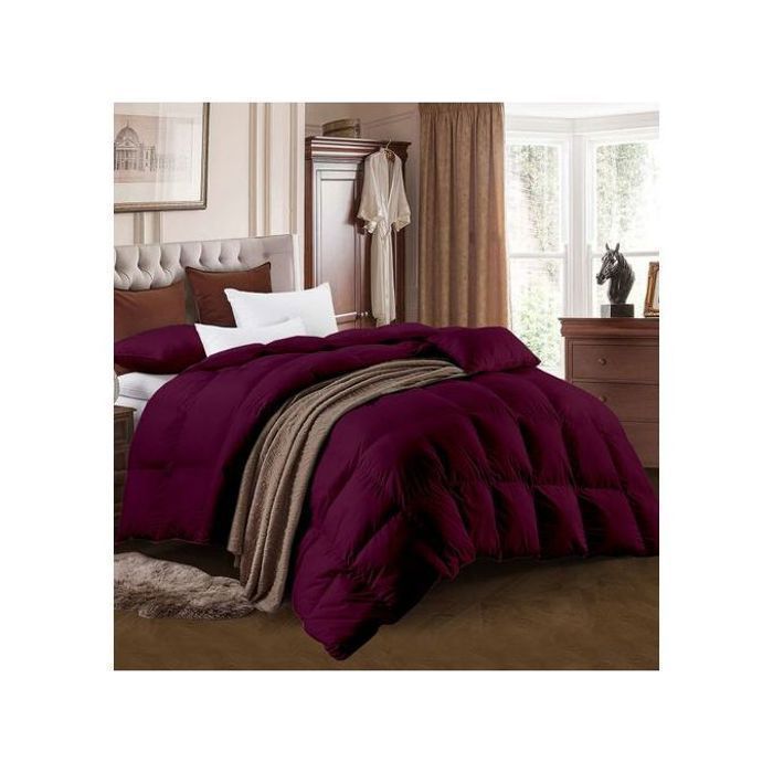 Couette Aubergine Micro-gel 2 Places (240x260 cm) / Sensation Duvet &  Antiallergique / C+++