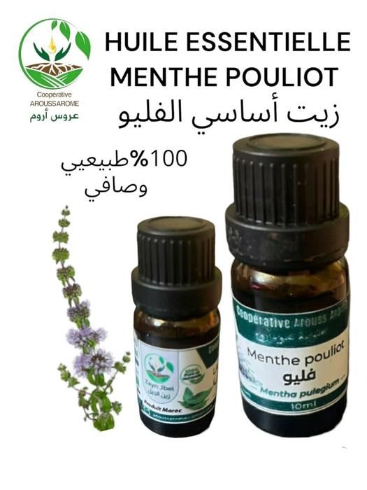 HUILE ESSENTIELLE MENTHE POULIOT 10ML
