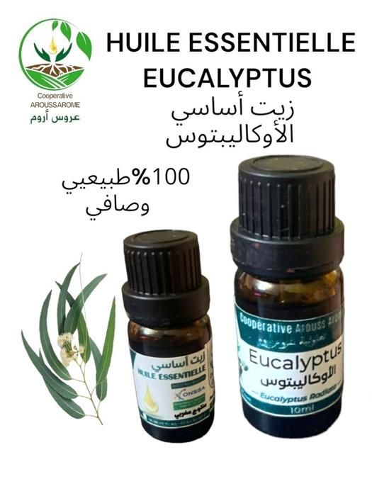 HUILE ESSENTIELLE EUCALYPTUS 10ML