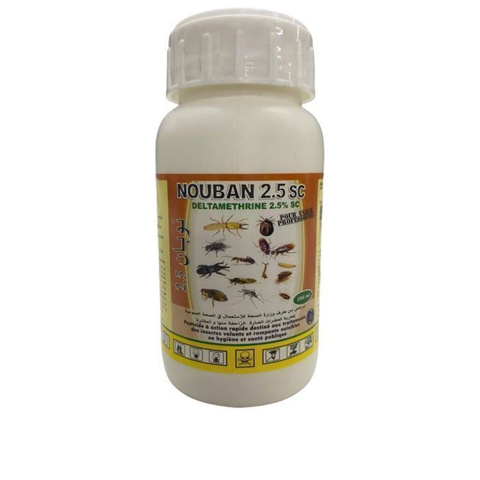 Nouban Insecticide action rapide pour insectes volants et rampants 250ml