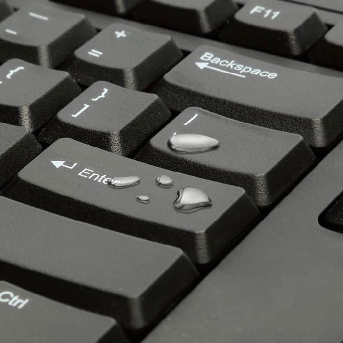 null - Image 2