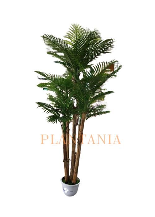 Plante artificielle - PLANTANIA - Palmier 250 cm - Vert - Sans pot - Réaliste et sans entretien