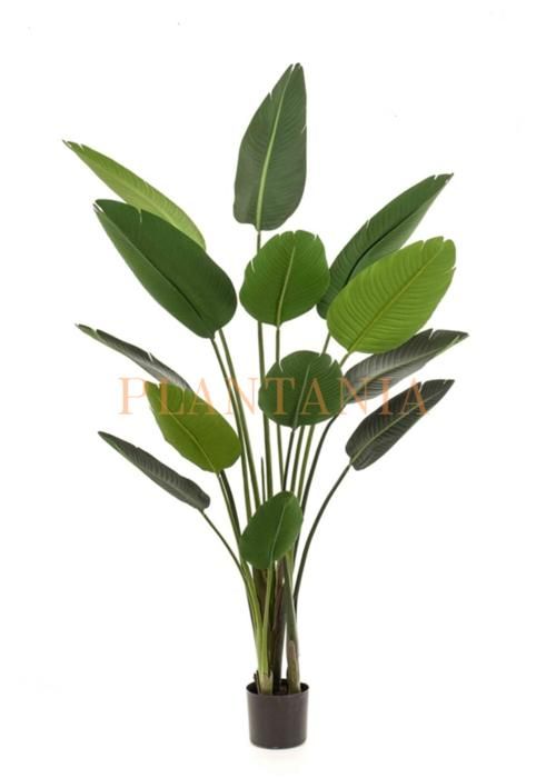 Plante artificielle - PLANTANIA - Bananier - 180 cm - 12 grandes feuilles - Intérieur