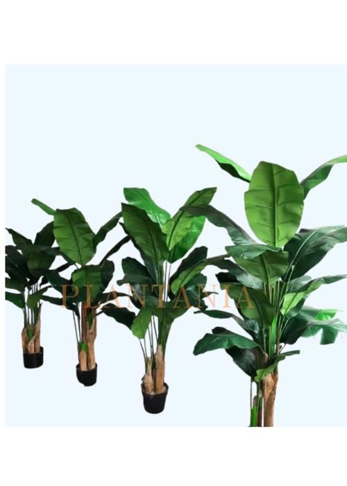 Plante artificielle - PLANTANIA - Bananier - 3 tiges - 160 cm - Aspect semi-naturel