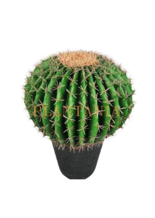 Cactus artificiel - PLANTANIA - 52 cm - Vert - Sans pot - Entretien facile