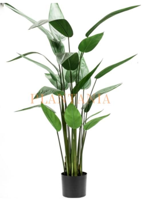 Plante artificielle - PLANTANIA - Strelitzia - 165 cm - 20 feuilles - Sans pot