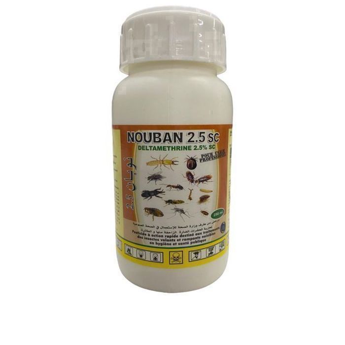 Nouban Insecticide action rapide pour insectes volants et rampants 250ml