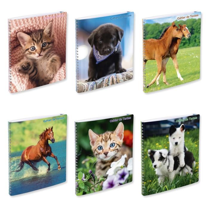 CAHIER DE TEXTE RI 170X220 148 P 90G ANI.D