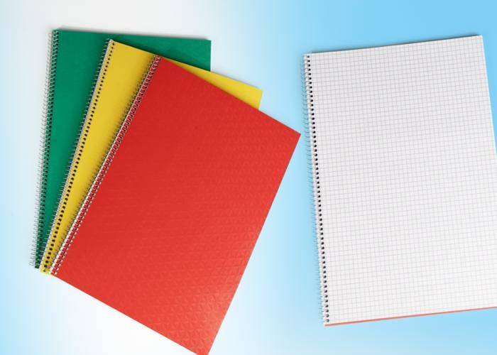 Cahier Spirale - SYLVER - Modèle Aléatoire - 120 Pages - Couverture Carton Plastifié - A4