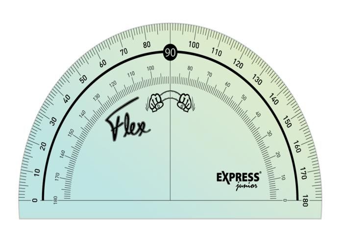 RAPPORTEUR FLEXIBLE EXPRESS