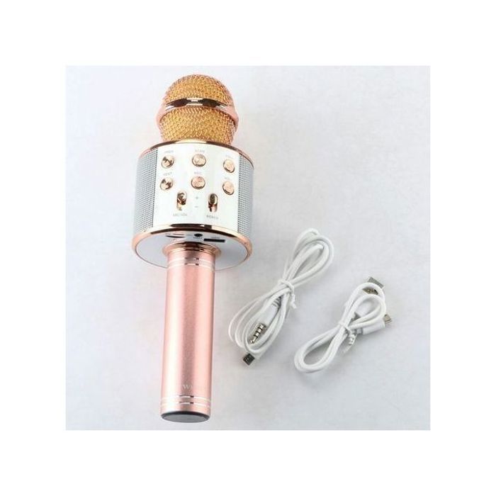 Magique Microphone et hauparleur karaoké bleutooth sans fil 4 en 1 : player rechargeable USB, micro