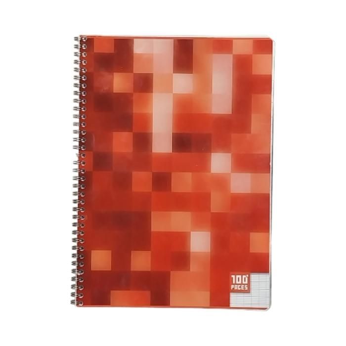 CAH/SPI 100P A4 SEYS 90GR ASST AUCHAN