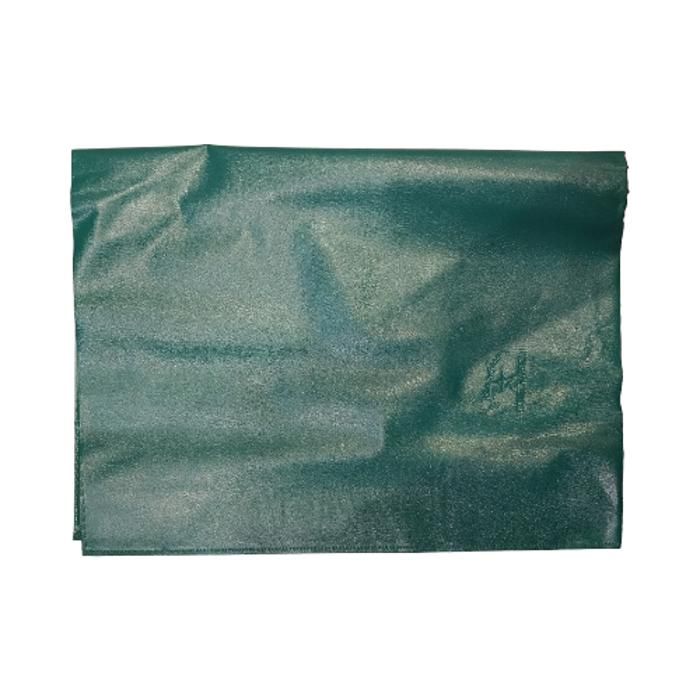 PROTEGE CAHIER A4 200U COULEUR VERT