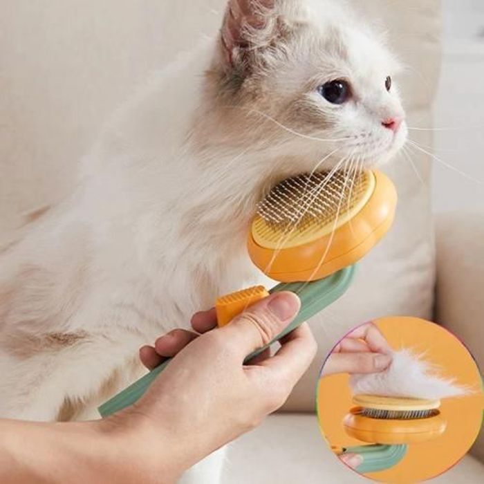 Brosse pour Chat et Chien, Nettoyage Poils Brosse de Toilettage Anti Poils Citrouille Animaux