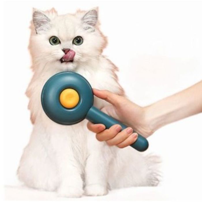 Brosse d'épilation pour chien et chat Outil pour enlever les poils d'animaux