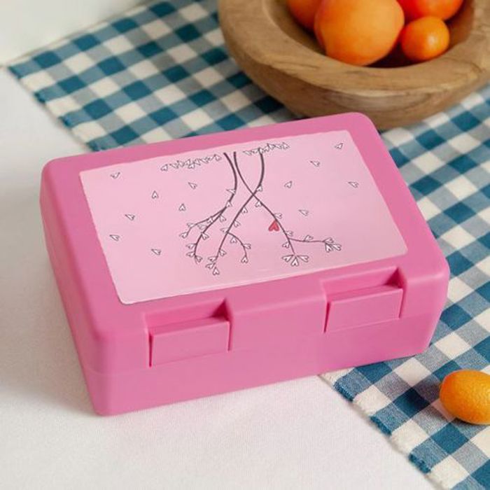 Boîte à Goûter en plastique pour école, lunch box