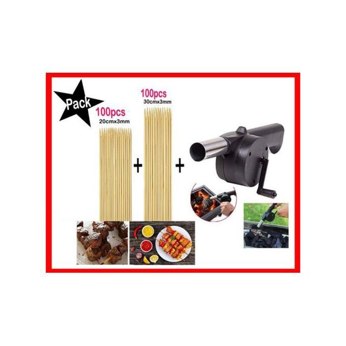 Ventilateur manuel et brochettes barbecue