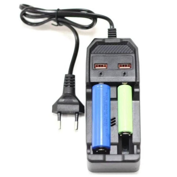 Chargeur de batterie au lithium à double charge avec deux ports usb