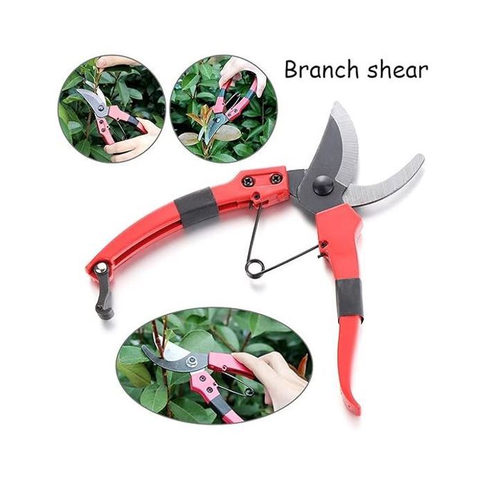 Ciseaux de coupe à cliquet en acier inoxydable,outil de jardinage