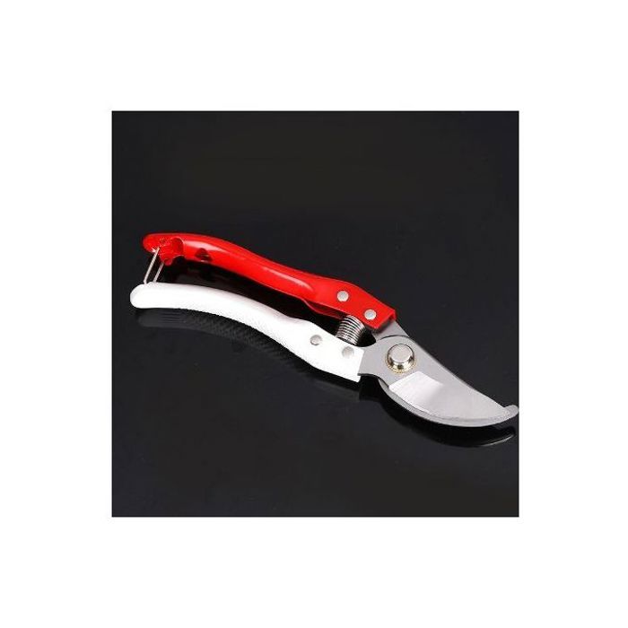 Jardin sécateur haute teneur en carbone acier, ciseaux ménage jardin cisaillement