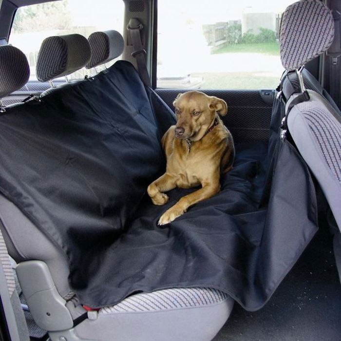 Housse protection chien chat voiture imperméable
