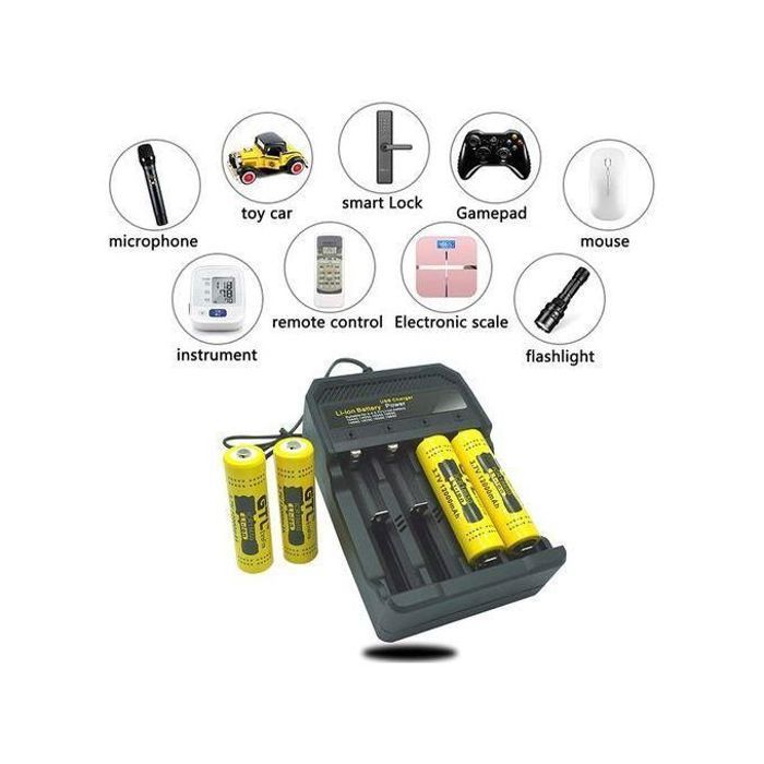 Chargeur Rapide USB - Batterie Lithium-ion 2000 mA