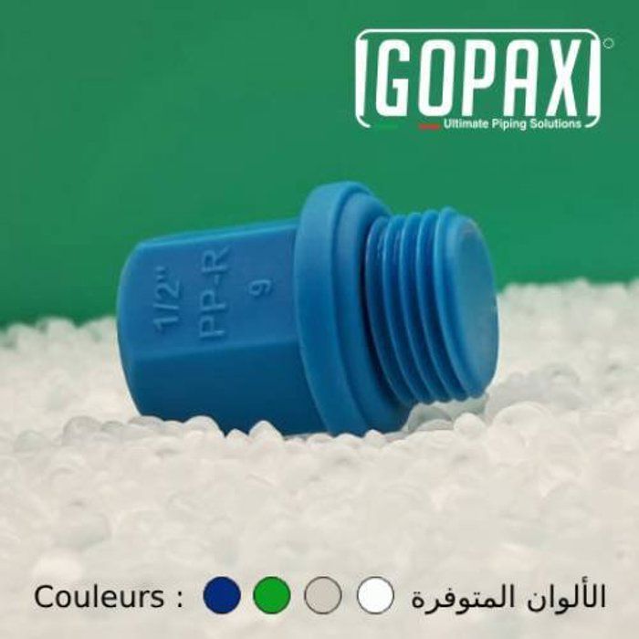 BOUCHON en PPR 1/2" (Sachet de 20 pièces)