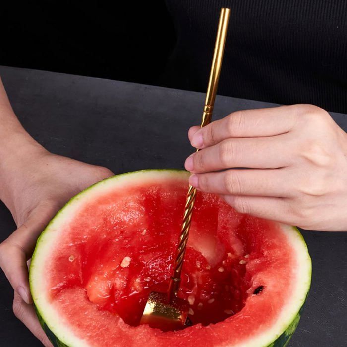 Ensemble de 10 Cuillères à Long Manche en Acier Inoxydable, Réutilisables et Multifonctions pour Dessert, Thé et Repas