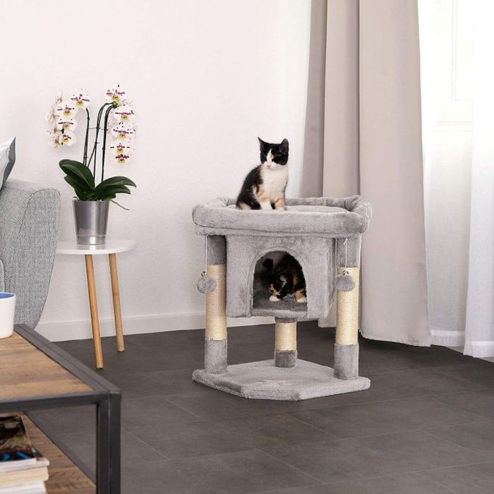 Arbre à chat arbre à grimper griffoir pour chat hauteur 60 cm gris clair