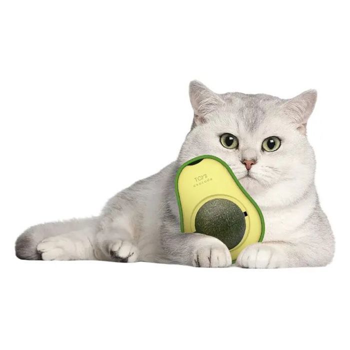 Jouet pour chat - GENERIC - Avocat sculpté - Herbe à chat - Matériau non toxique - Surface collante