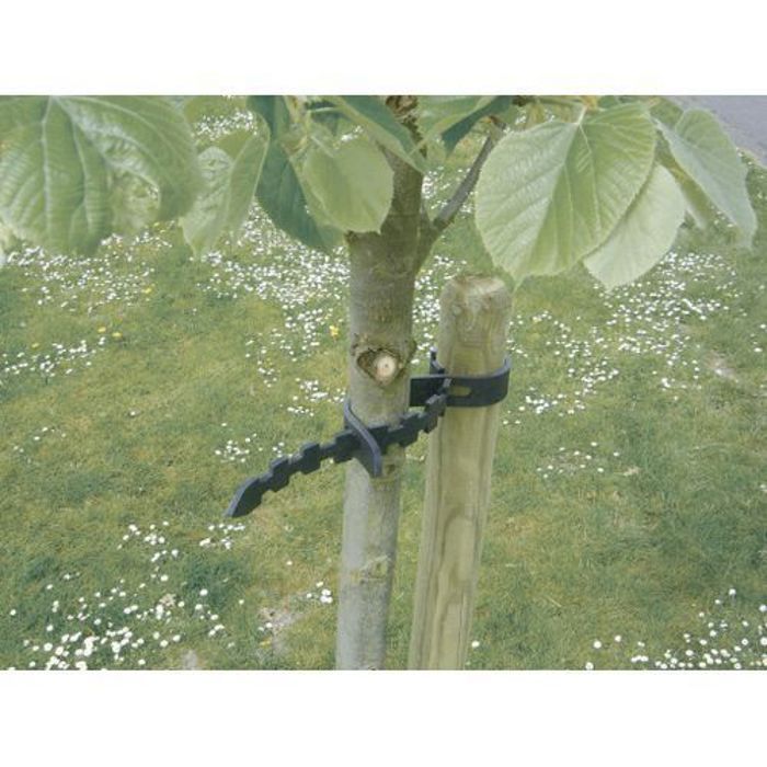 Liens d'attache plantes en plastique 20 unité, couliers d'attache pour plantes