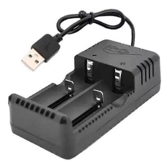 Chargeur De Piles Avec 2 Emplacements,