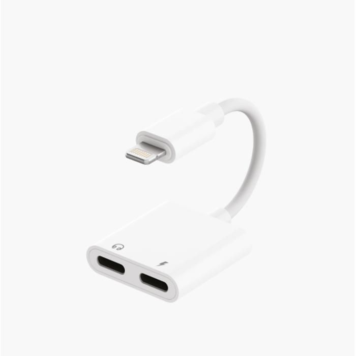 Adaptateur REVOOX Lightning vers Lightning RA-L03